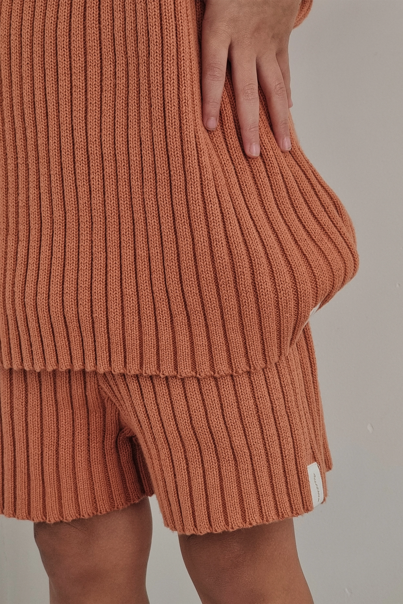 Mini Rib Knit Shorts (Ginger) - All Fenix